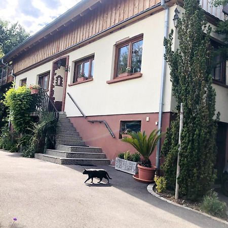 Gite Du Ried Bischwiller Exteriör bild