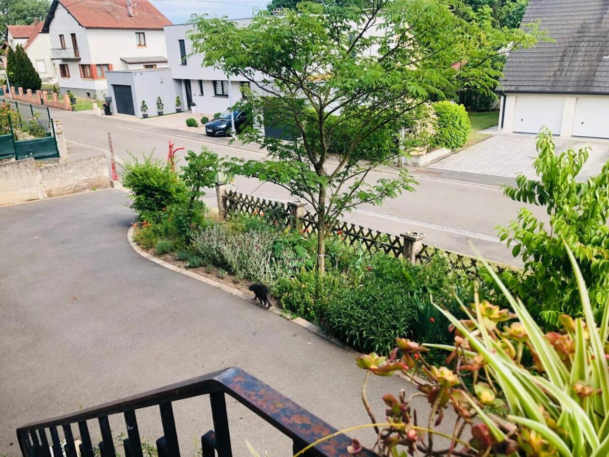 Gite Du Ried Bischwiller Exteriör bild
